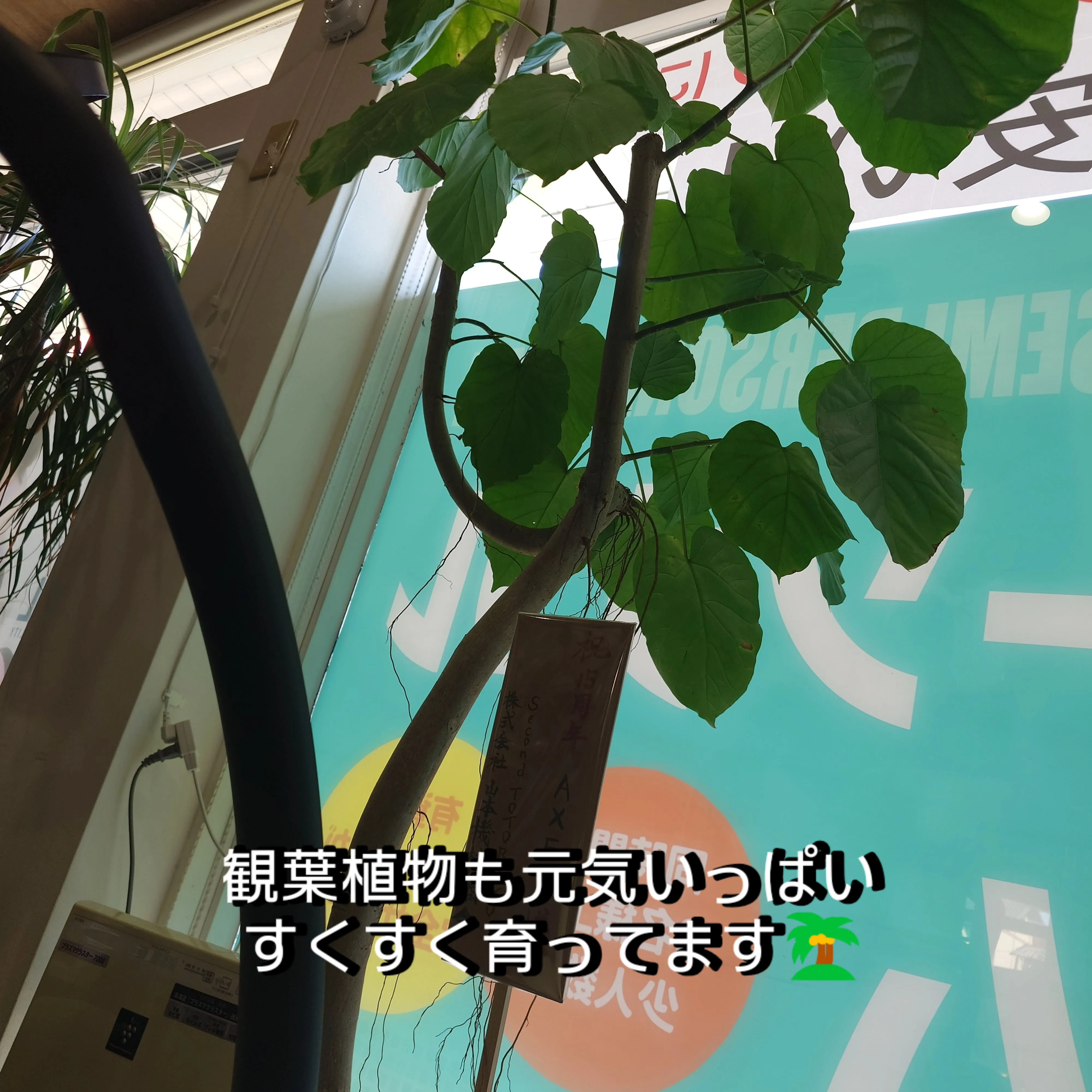岩出の予約制ジム